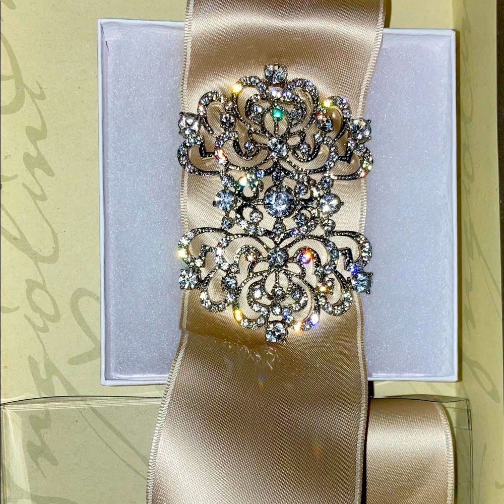 David’s Bridal slider belt